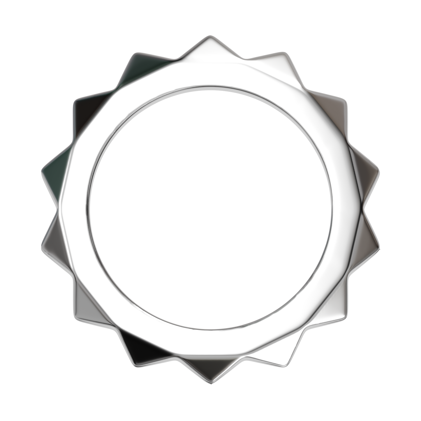 ring / punk monk