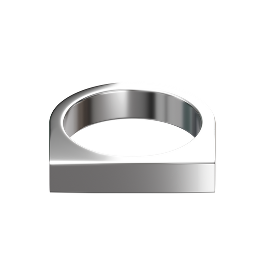 ring / silver bar